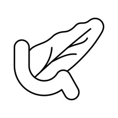 pancreas. Line icon for web design