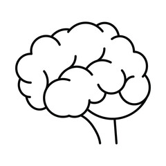 brain. Line icon for web design