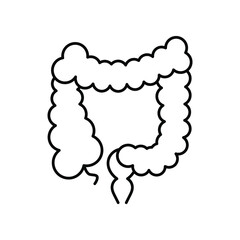 colon. Line icon for web design
