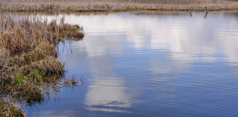 dry grass on the shore of the reservoir, blue sky and clouds are reflected in the water