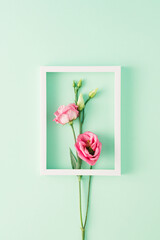 Creative pastel spring arrangement made of frame and lisianthus flowers on a green background. Minimal flat lay concept.