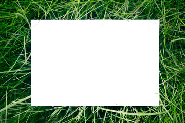 creative layout composition frame made of green fresh grass with a beautiful texture with a white paper card note and shadows from sunlight, flat lay and copy space.