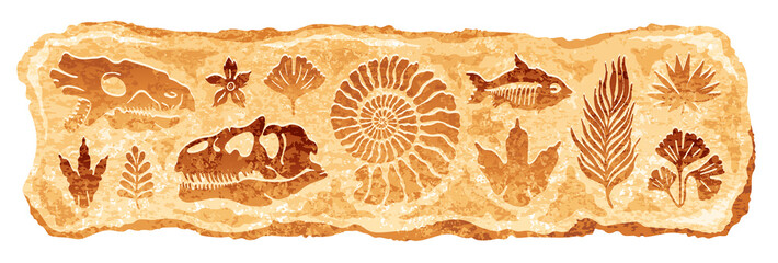 Fossil vector. Archeologic fossil dig set. Dinosaur dino foot, sea animal, fish skeleton, plant, shell. Ancient sand stone. Evolution rock prehistoric art. Paleontology, history limestone watercolor © Olga Che