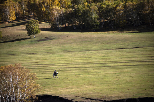 Bashang outdoor landscape in autumn 
