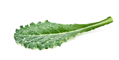 Fresh green kale leaves pattern on a white background