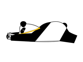 Fototapeta premium Panda and the camera , cartoon , stickers on white background