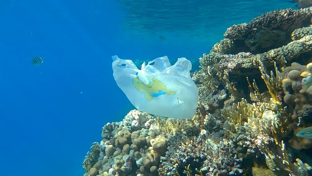 White plastic shoping bag
drifting underwater near beautiful coral reef with tropical fish swimming around it. Plastic garbage environmental pollution problem. (4K - 60fps)