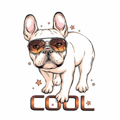 French bulldog in sunglasses. Vector illustration in hand-drawn style . Image for printing on any surface