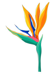 strelitzia flower is bright in color. illustration of a tropical flower from the jungle of strelitzia, yellow-orange petals on a green stem, isolated vector element for a design template