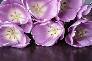 Training, master classes and floristry courses making a bouquet. Beautiful romantic bouquet of pink tulips on a wooden background for your text.