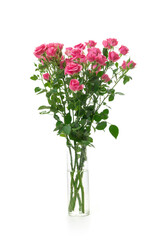 Fototapeta premium Bouquet of pink roses in a transparent vase isolated on a white background.