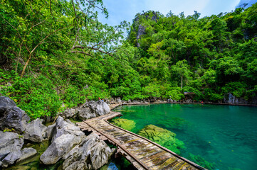 Fototapeta na wymiar Kayangan Lake - Blue crystal water in paradise lagoon - walkway on wooden pier in tropical scenery - Coron island, Palawan, Philippines.