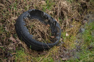 Old used rubber car tire discarded on raw forest ecosystem,environmental pollution.