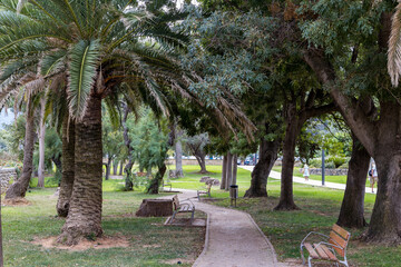 a path leads through a deserted park with many palm trees and park benches. Recreation in a park in the middle of the city 