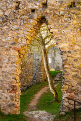 Frühlingsspaziergang rund um die Burgruine Brandenburg im schönen Werratal - Lauchröder - Thüringen