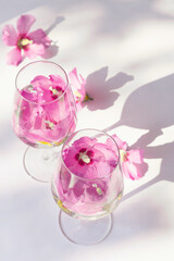 Creative composition made of two glasses with hibiscus flower water on white background with sunlit. Summer and refreshment concept. Minimal style