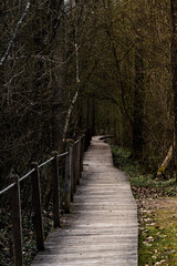 Ścieżka edukacyjna, Żebra Żubra, Białowieża, Polska © Joanna