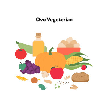 Food plate example concept. Vector flat illustration. Ovo vegetarian diet symbol isolated on white background. Veggies, fruit, eggs, bread and cereal color sign set.