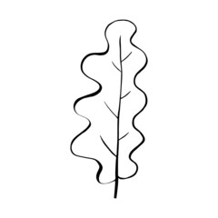 Hand drawn forest leaf, branch. Vector illustration for  card, home decor. 
Isolated on white backdrop. 