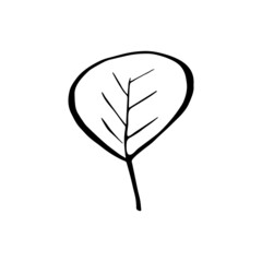 Hand drawn forest leaf, branch. Vector illustration for  card, home decor. 
Isolated on white backdrop. 