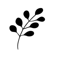 Hand drawn forest leaf, branch. Vector illustration for  card, home decor. 
Isolated on white backdrop. 