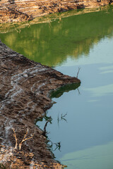 Dead trees on the shore formed by several layers of sediment strata from the Tagus River