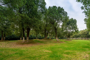 Fototapeta na wymiar Beautiful panorama of green city park