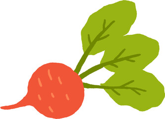 Sugar Beet Root Hand Drawn Cartoon Illustration