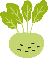 Fresh Turnip Tuber Hand Drawn Cartoon Illustration