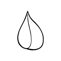 Hand drawn forest leaf, branch. Vector illustration for  card, home decor. 
Isolated on white backdrop. 