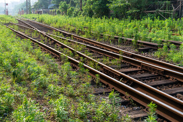 The way forward railway