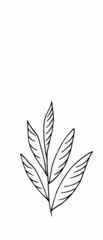 herb. Hand drawn vector herb in doodle style outline