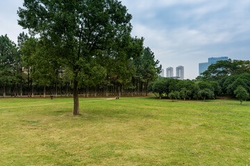 spring park and modern city