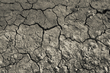 Crackered earth texture, close-up. Brown background of soil with cracks. The substrate for branding, calendar, post, banner, cover, card, website. A place for your design or text. High quality photo
