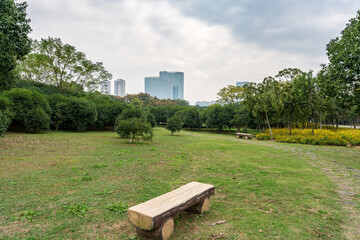 Beautiful panorama of green city park