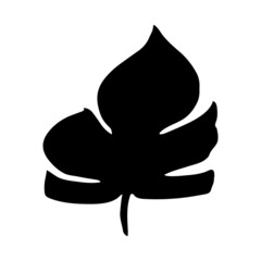 Hand drawn forest leaf, branch. Vector illustration for  card, home decor. 
Isolated on white backdrop. 