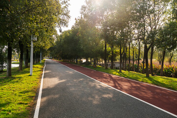 New pathway and beautiful trees track for running or walking and cycling relax in the park