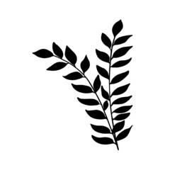 Hand drawn forest leaf, branch. Vector illustration for  card, home decor. 
Hand drawn plant for decoration. 