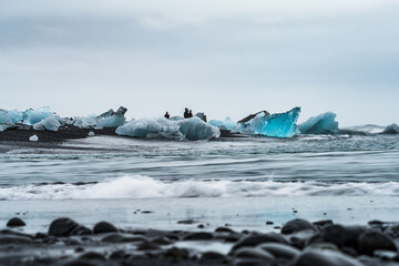 Blue icebergs over the black sand beach with blurred tourists