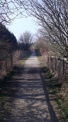 Fototapeta premium Old train track path