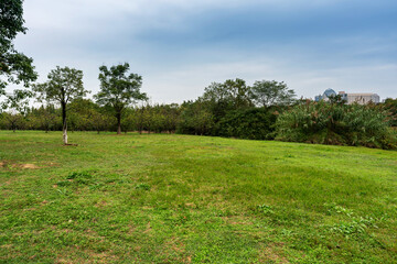 Beautiful panorama of green city park