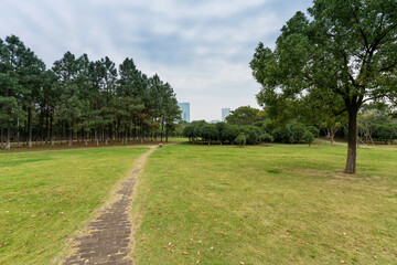 Obraz premium Beautiful panorama of green city park