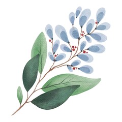 Hand Drawing Watercolor Beautiful Plant with green Leaves and blue Buds illustration. Use for poster, card, print, textile, template, fabric, pattern, stickers, wedding, celebration, birthday