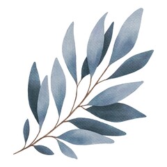 Hand Drawing Watercolor Beautiful Branch with blue Leaves illustration. Use for poster, card, print, textile, template, fabric, pattern, stickers, wedding, celebration, birthday