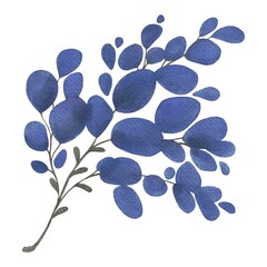 Hand Drawing Watercolor Beautiful Plant with blue Leaves illustration. Use for poster, card, print, textile, template p, fabric, pattern, stickers, wedding, celebration, birthday