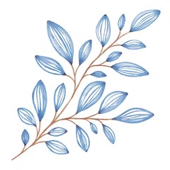 Hand Drawing Watercolor Beautiful Plant with openwork blue Leaves illustration. Use for poster, card, print, textile, template, fabric, pattern, stickers, wedding, celebration, birthday, packaging
