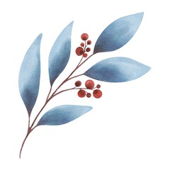 Hand Drawing Watercolor Beautiful Plant with blue Leaves and Red Berries illustration. Use for poster, card, print, textile, template, fabric, pattern, stickers, wedding, celebration, birthday
