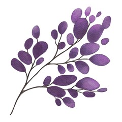 Hand Drawing Watercolor Beautiful Plant with purple Leaves illustration. Use for poster, card, print, textile, template p, fabric, pattern, stickers, wedding, celebration, birthday