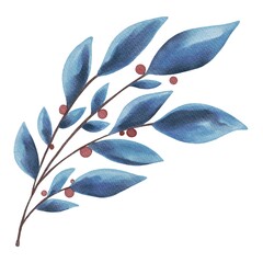 Hand Drawing Watercolor Beautiful Plant with blue Leaves and Red Barries illustration. Use for poster, card, print, textile, template p, fabric, pattern, stickers, wedding, celebration, birthday