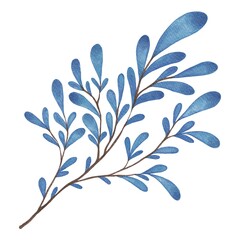 Hand Drawing Watercolor Beautiful openwork Plant with blue Leaves illustration. Use for poster, card, print, textile, template p, fabric, pattern, stickers, wedding, celebration, birthday